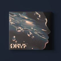 VAE VISTIC - Dryf [CD]